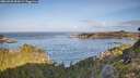 ./images/calvert/foggy-cove/20260930/foggy-cove20260930_092001M.jpg
