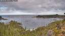 ./images/calvert/foggy-cove/20260930/foggy-cove20260930_101002M.jpg