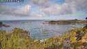 ./images/calvert/foggy-cove/20260930/foggy-cove20260930_104001M.jpg
