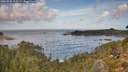 ./images/calvert/foggy-cove/20260930/foggy-cove20260930_105501M.jpg