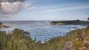 ./images/calvert/foggy-cove/20260930/foggy-cove20260930_110501M.jpg