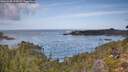 ./images/calvert/foggy-cove/20260930/foggy-cove20260930_111001M.jpg