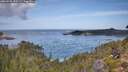 ./images/calvert/foggy-cove/20260930/foggy-cove20260930_111502M.jpg