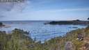 ./images/calvert/foggy-cove/20260930/foggy-cove20260930_112001M.jpg