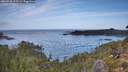 ./images/calvert/foggy-cove/20260930/foggy-cove20260930_112501M.jpg