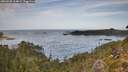 ./images/calvert/foggy-cove/20260930/foggy-cove20260930_114001M.jpg