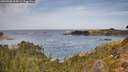 ./images/calvert/foggy-cove/20260930/foggy-cove20260930_114501M.jpg