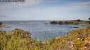 ./images/calvert/foggy-cove/20260930/foggy-cove20260930_115001M.jpg