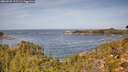 ./images/calvert/foggy-cove/20260930/foggy-cove20260930_115501M.jpg