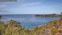 ./images/calvert/foggy-cove/20260930/foggy-cove20260930_120502M.jpg
