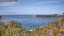 ./images/calvert/foggy-cove/20260930/foggy-cove20260930_121001M.jpg
