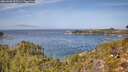 ./images/calvert/foggy-cove/20260930/foggy-cove20260930_121501M.jpg