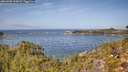 ./images/calvert/foggy-cove/20260930/foggy-cove20260930_122001M.jpg