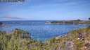 ./images/calvert/foggy-cove/20260930/foggy-cove20260930_122501M.jpg