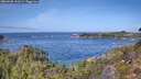 ./images/calvert/foggy-cove/20260930/foggy-cove20260930_123501M.jpg