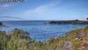 ./images/calvert/foggy-cove/20260930/foggy-cove20260930_124002M.jpg