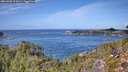 ./images/calvert/foggy-cove/20260930/foggy-cove20260930_124501M.jpg