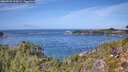 ./images/calvert/foggy-cove/20260930/foggy-cove20260930_125001M.jpg