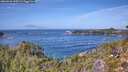 ./images/calvert/foggy-cove/20260930/foggy-cove20260930_125501M.jpg