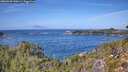 ./images/calvert/foggy-cove/20260930/foggy-cove20260930_130001M.jpg