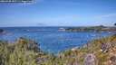 ./images/calvert/foggy-cove/20260930/foggy-cove20260930_130501M.jpg
