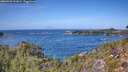 ./images/calvert/foggy-cove/20260930/foggy-cove20260930_131001M.jpg