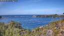 ./images/calvert/foggy-cove/20260930/foggy-cove20260930_131501M.jpg