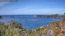 ./images/calvert/foggy-cove/20260930/foggy-cove20260930_132001M.jpg