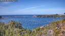 ./images/calvert/foggy-cove/20260930/foggy-cove20260930_132501M.jpg
