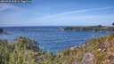 ./images/calvert/foggy-cove/20260930/foggy-cove20260930_133001M.jpg