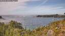 ./images/calvert/foggy-cove/20260930/foggy-cove20260930_143001M.jpg