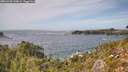 ./images/calvert/foggy-cove/20260930/foggy-cove20260930_144001M.jpg