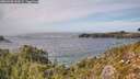 ./images/calvert/foggy-cove/20260930/foggy-cove20260930_144501M.jpg