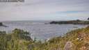 ./images/calvert/foggy-cove/20260930/foggy-cove20260930_152501M.jpg