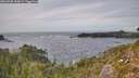 ./images/calvert/foggy-cove/20260930/foggy-cove20260930_155001M.jpg