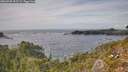 ./images/calvert/foggy-cove/20260930/foggy-cove20260930_155501M.jpg