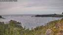 ./images/calvert/foggy-cove/20260930/foggy-cove20260930_161001M.jpg