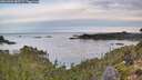 ./images/calvert/foggy-cove/20261001/foggy-cove20261001_083501M.jpg