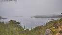 ./images/calvert/foggy-cove/20261001/foggy-cove20261001_094501M.jpg