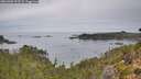 ./images/calvert/foggy-cove/20261001/foggy-cove20261001_102501M.jpg