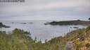 ./images/calvert/foggy-cove/20261001/foggy-cove20261001_103502M.jpg