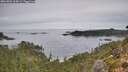 ./images/calvert/foggy-cove/20261001/foggy-cove20261001_104502M.jpg