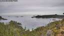 ./images/calvert/foggy-cove/20261001/foggy-cove20261001_110501M.jpg