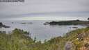 ./images/calvert/foggy-cove/20261001/foggy-cove20261001_113002M.jpg