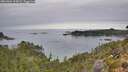./images/calvert/foggy-cove/20261001/foggy-cove20261001_115001M.jpg