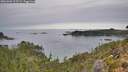 ./images/calvert/foggy-cove/20261001/foggy-cove20261001_115502M.jpg