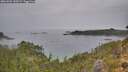 ./images/calvert/foggy-cove/20261001/foggy-cove20261001_130501M.jpg