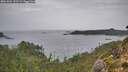 ./images/calvert/foggy-cove/20261001/foggy-cove20261001_153501M.jpg