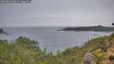 ./images/calvert/foggy-cove/20261001/foggy-cove20261001_165501M.jpg