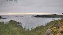 ./images/calvert/foggy-cove/20261002/foggy-cove20261002_075001M.jpg